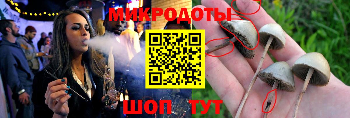 Новочеркасск  Галлюциногенные грибы мицелий  Вход с VPN 